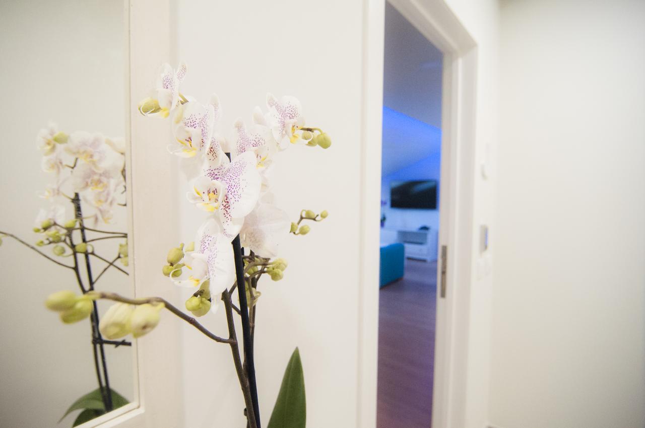 Los Rodeos Luxury Vivienda Vacacional La Laguna  Exteriör bild